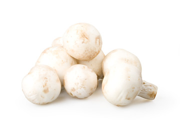 Fresh mushrooms isolated on a white background.