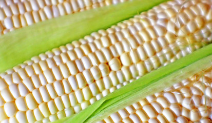 Corn on the Cob