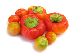 Tomatoes