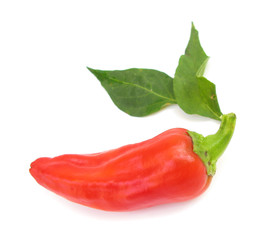 Paprika red pepper with leaves