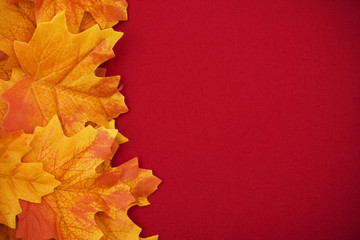 Yellow fall leaves on a red background