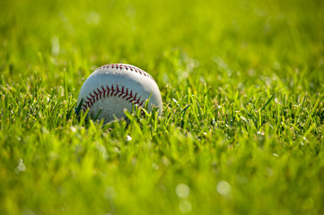 A white leather baseball on a grass field on a sunny day © Michael Flippo