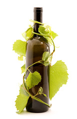 bottle of wine studio isolated