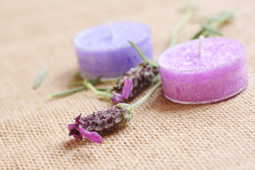 lavender scented candles with freshly cut lavender