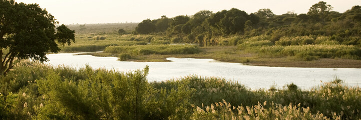 African landscape at the morning