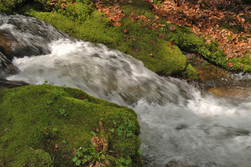 Wasser