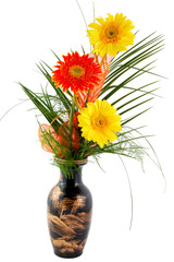 Red and yellow gerbera on white background