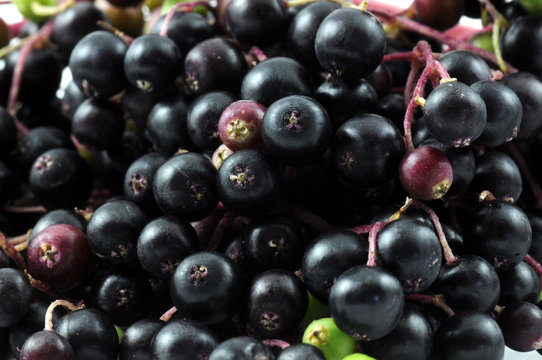 Holunderbeeren