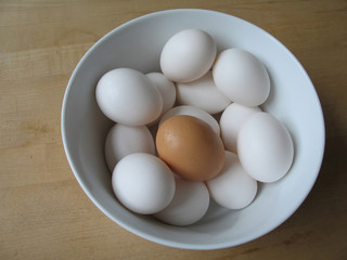 white and brown eggs