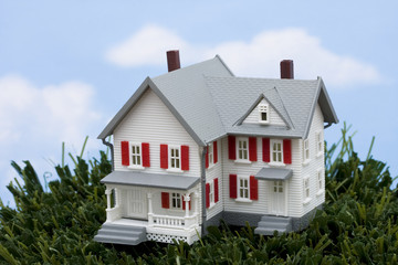 Model house on grass with copy space