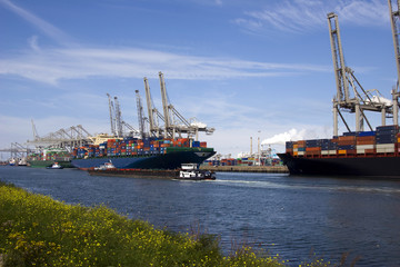 Fototapeta premium containership