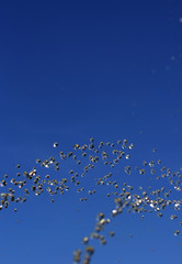 Water squirt in the sky
