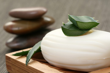 natural aloe vera soap - beauty treatment