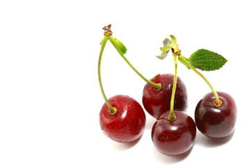 sweet cherry isolated on white background