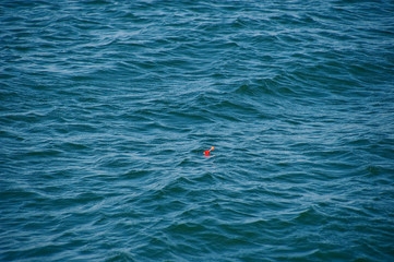 bouchon floteur de canne a peche © Frédéric Massard