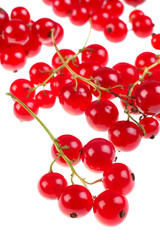 Red currant berry background on white detail view