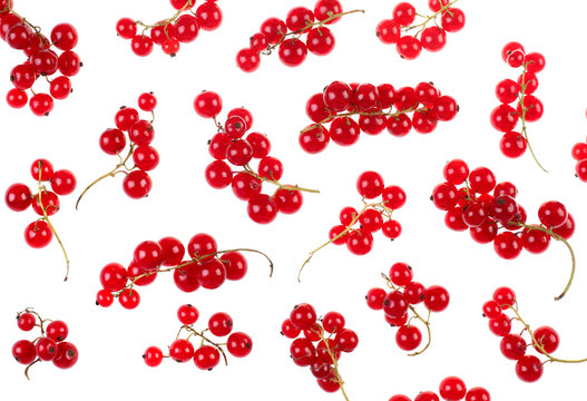 Red currant berry background on white detail view