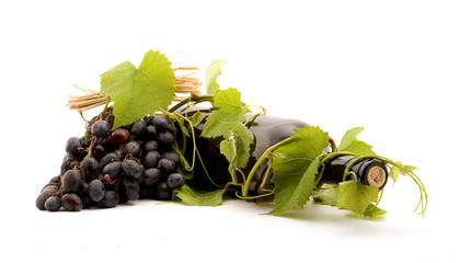 bottle of wine studio isolated