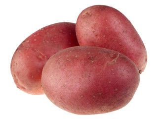 Purple potato vegetable root closeup on white