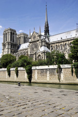 Obraz premium Notre-Dame, Paris
