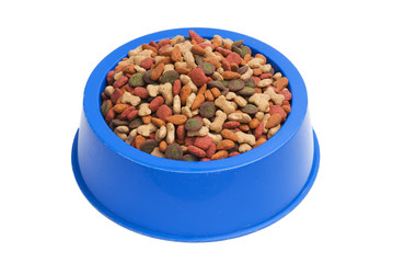 Pet Food Bowl Isolated White on Background
