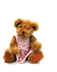 teddy bear with dress