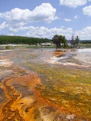 Yellowstone National Park