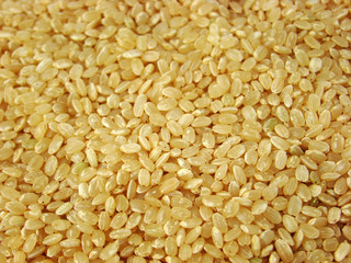 Rice close up shot for background