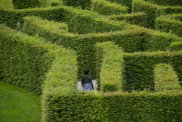 Boy walking into a labyrinth