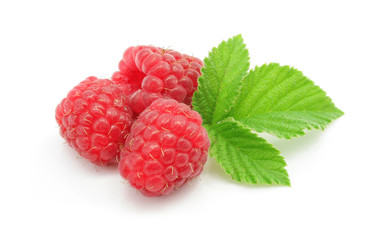 three raspberry berries isolated on white background