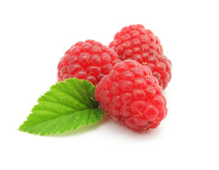 three raspberry berries  isolated on white background