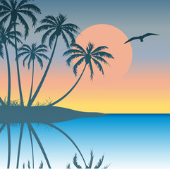 Fototapeta na wymiar Tropical Island with Palm Trees
