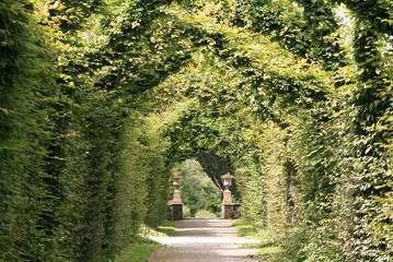 passage de verdure (jardin à la française)