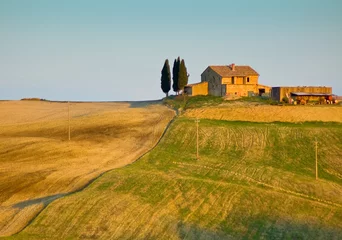 Plexiglas foto achterwand image of typical tuscan landscape © javarman