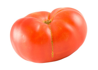 one red big tomato isolated on white background