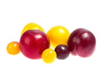 group of plums isolated on the white background