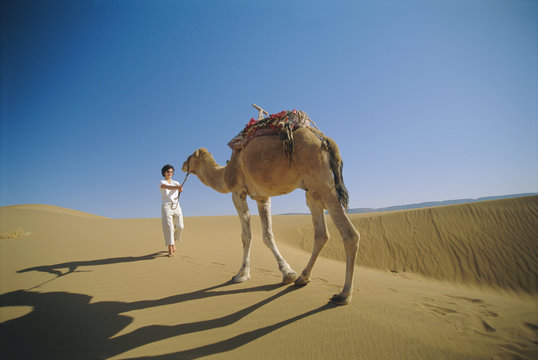 Woman leading camel across desert
