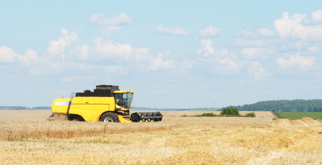 The beginning of harvesting on a wheaten field