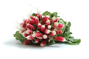 radis légumes