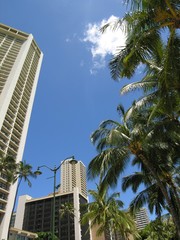 Fototapeta na wymiar Honolulu Sky II