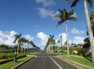 Hawaiian Road 2