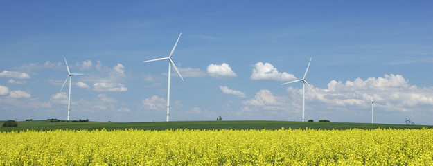 farm of windturbines close to rape field France