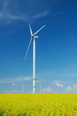 farm of windturbines close to rape field France
