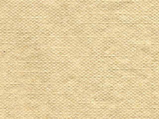 napkin texture