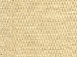 Fototapeta premium napkin texture