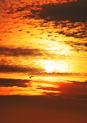 Fototapeta premium sunset