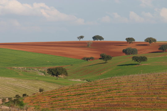 Alentejo