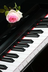 Klavier Tastatur Musik