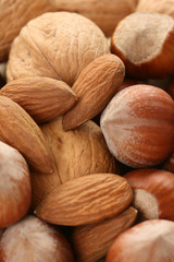 background of various nuts - hazelnuts walnuts and almonds