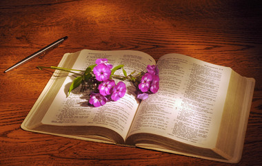 A spray of phlox lying across an open Bible